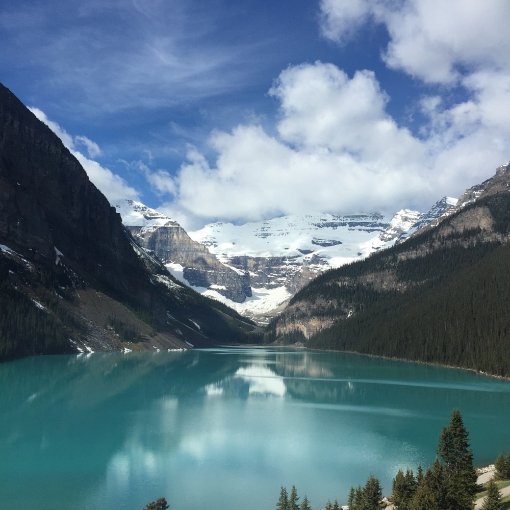 Meet your Posher, Susan